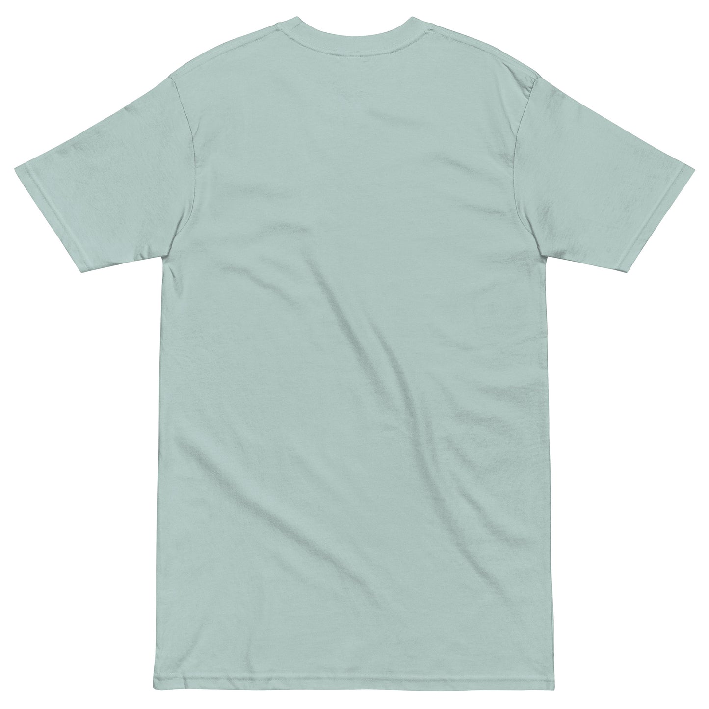 November Health Awareness Quote for Men premium heavyweight tee
