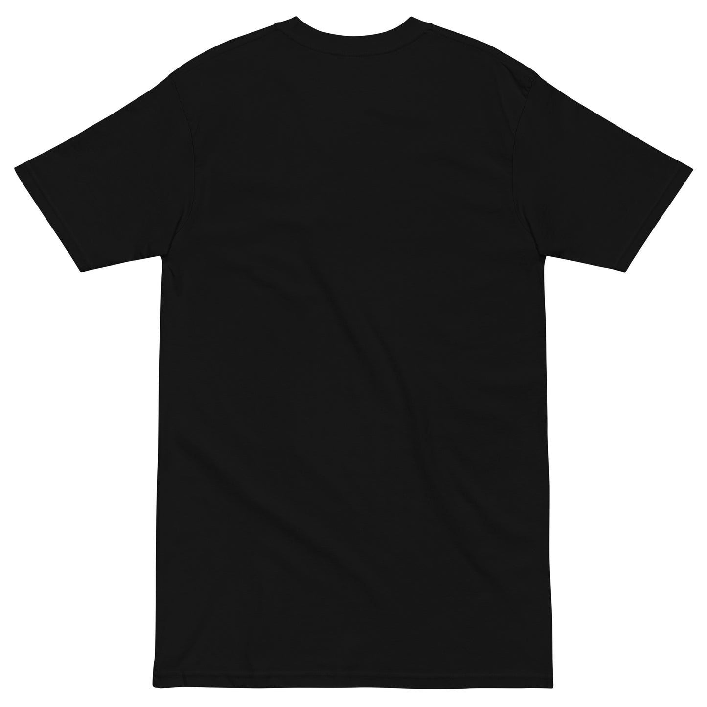 November Health Awareness Quote for Men premium heavyweight tee