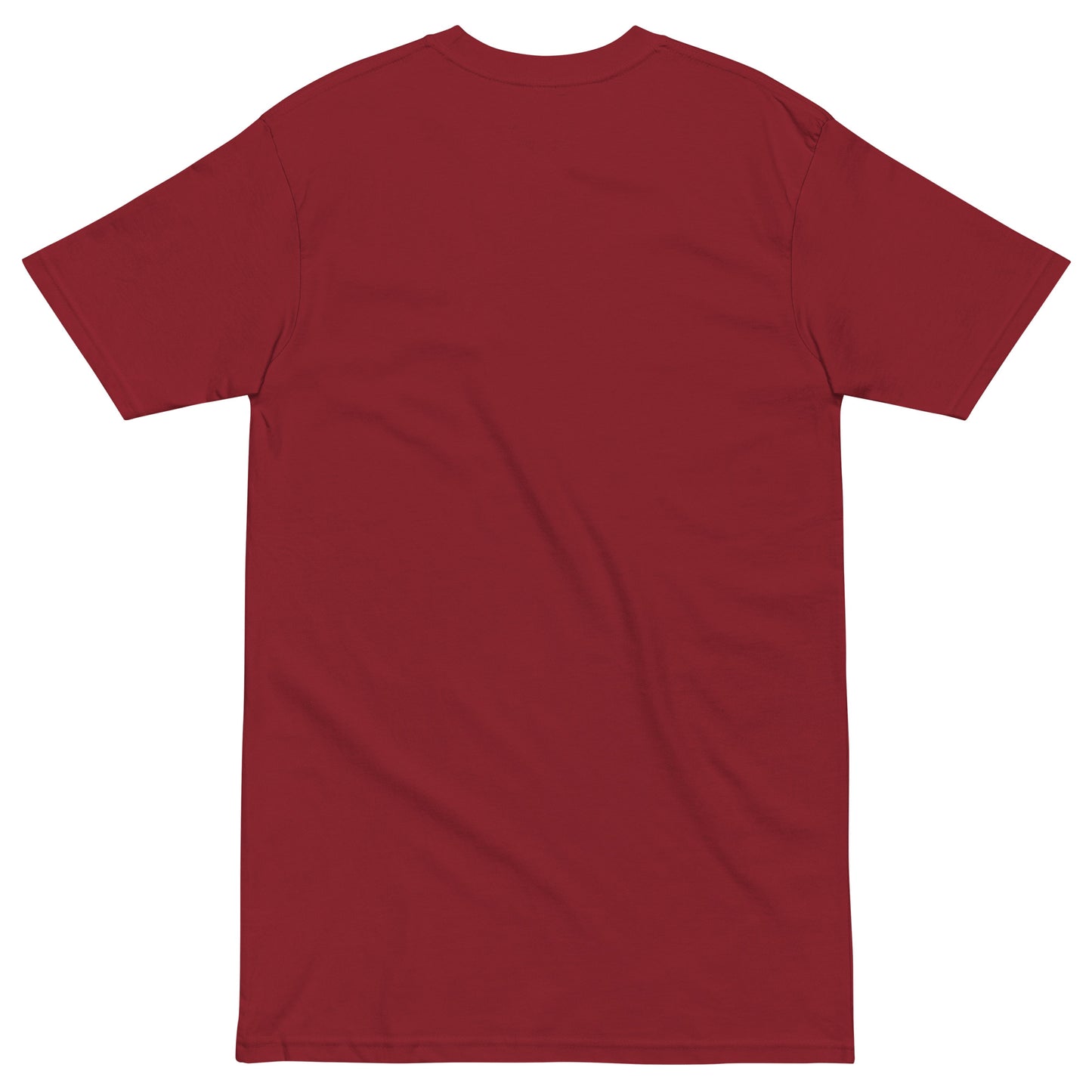 November Health Awareness Quote for Men premium heavyweight tee