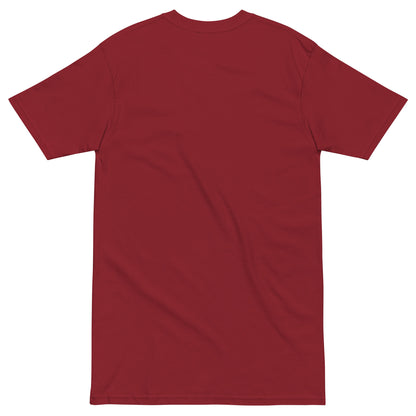 November Health Awareness Quote for Men premium heavyweight tee