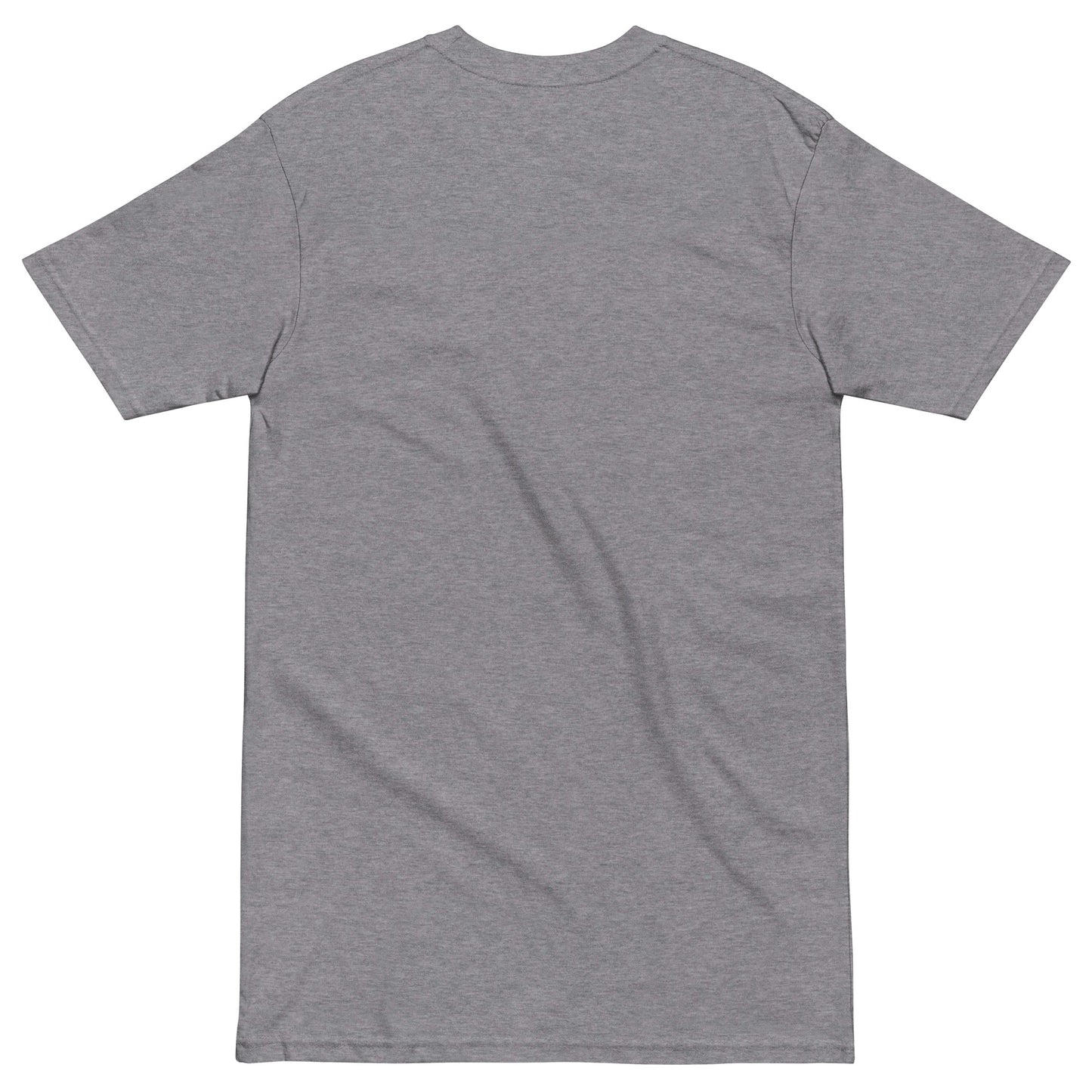 November Health Awareness Quote for Men premium heavyweight tee