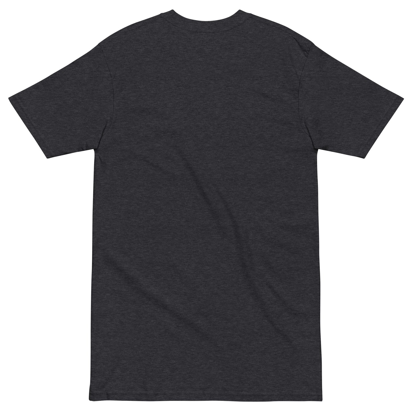 November Health Awareness Quote for Men premium heavyweight tee